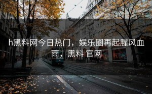 h黑料网今日热门，娱乐圈再起腥风血雨，黑料 官网