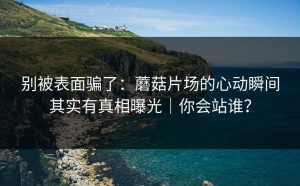 别被表面骗了：蘑菇片场的心动瞬间其实有真相曝光｜你会站谁？