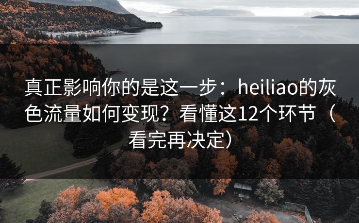 真正影响你的是这一步:heiliao的灰色流量如何变现?看懂这12个环节(看完再决定) 真正影响你的是这一步:heiliao的灰色流量如何变现?看懂这12个环节(看完再决定)